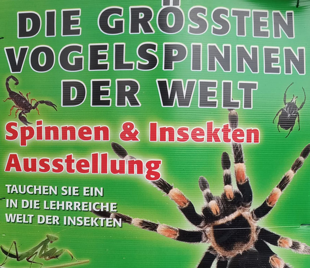Spinnen und Insekten Ausstellung 2023