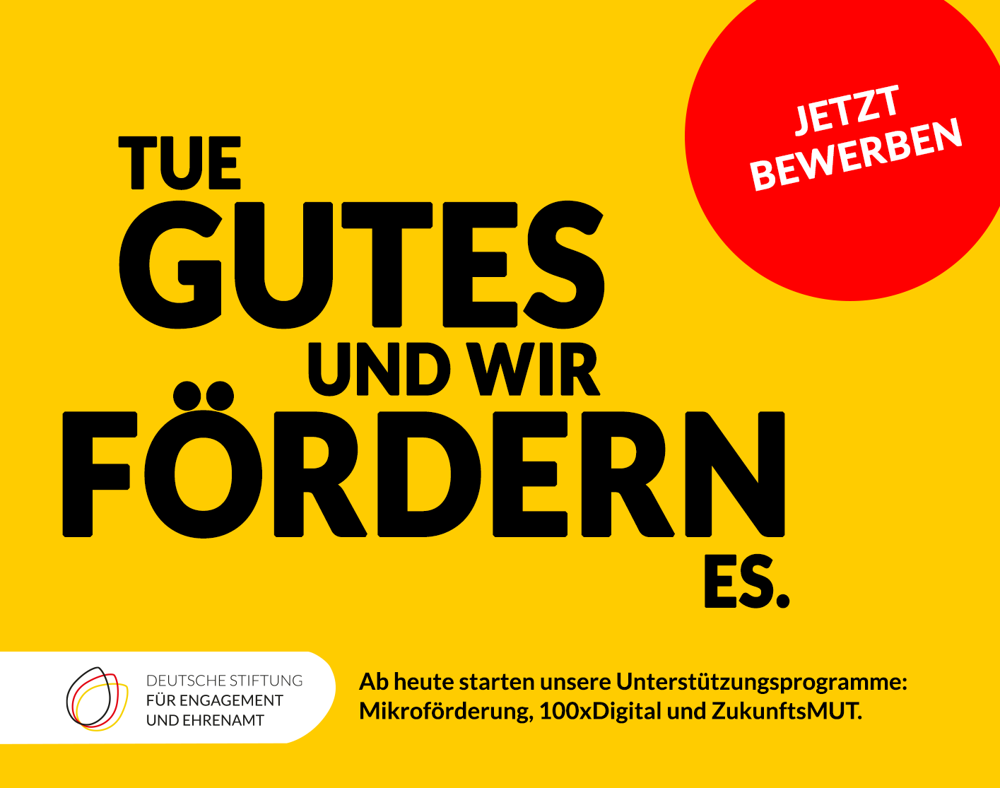 Deutsche Stiftung für Engagement und Ehrenamt