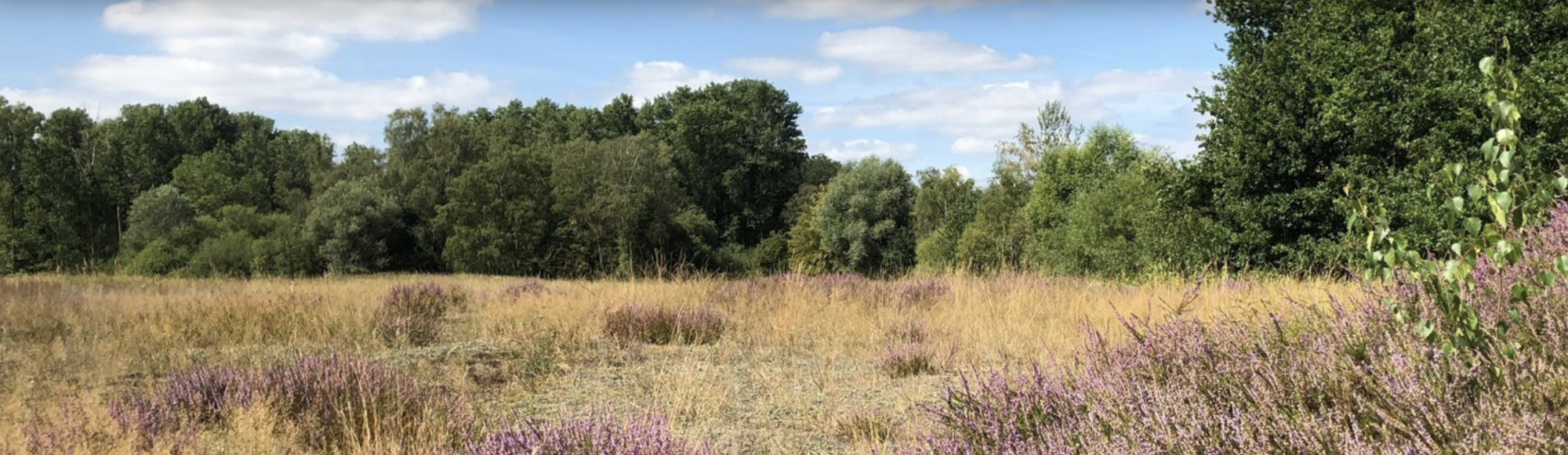 ABU Naturführung Eickelborn